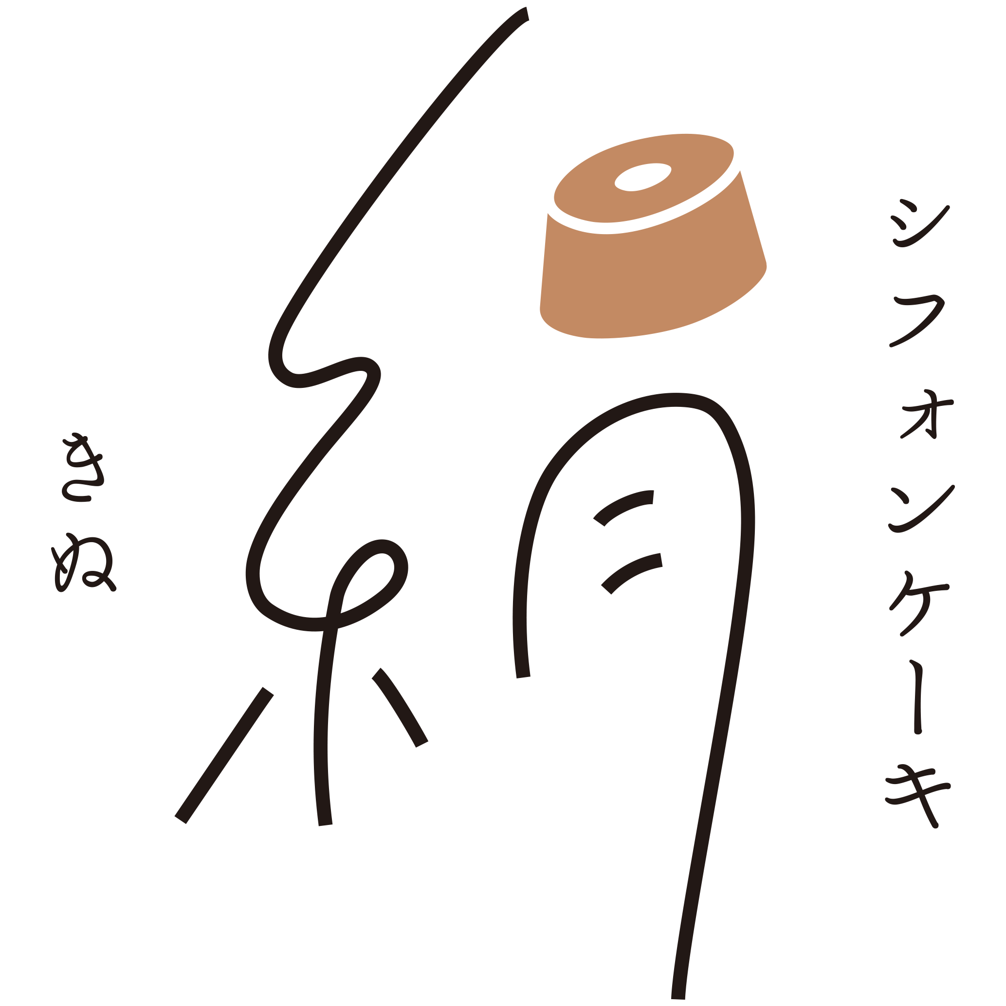 送料 - ふわふわシフォンケーキ 【絹】